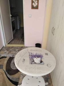 Lovely studio in Dragoman with garden and garage