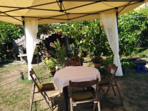 Lovely studio in Dragoman with garden and garage