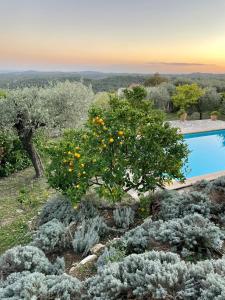 Villas Le Mas sous le Vent : photos des chambres