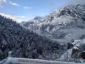Kasol Hostel - Shamshi