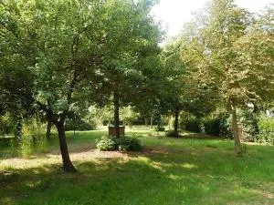 La Civetta - Bettolle