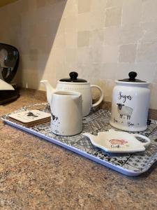 Coastal Caravan Holidays - Puffin 14