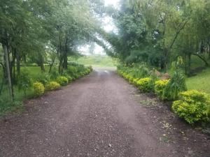 Adrenaline Lodge and Tours