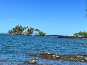 Ocean view Mauna Loa Shores Kai Ekahi #201 next to Carlsmith Beach Park Hilo HI
