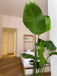 Boho Suites - Rome Colosseum
