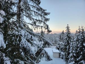 Apartmán Štyri Smreky Demänovská Dolina