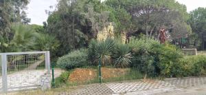 Vacation Home in Gjiri i Lalëzit, Lalëz, Durrës