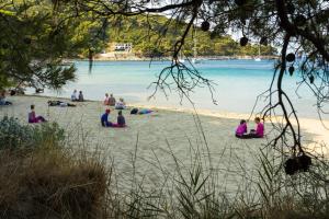 Saplunara 17 Island Mljet, 20224, Maranovii, Croatia.