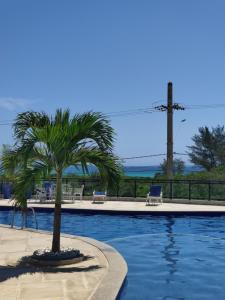 Le Bon Vivant, Nosso Lar