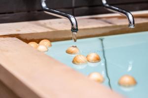 Villa Miyako 源泉かけ流し客室温泉ヴィラ みやこ別邸