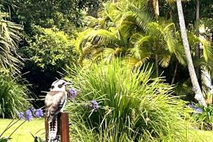 The Bungalow - Luxurious & Calm - Beach and Bush Retreat
