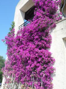 Appartements Villa Grand Baie : photos des chambres