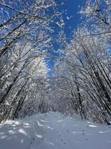 Ferienwohnung Moosegger