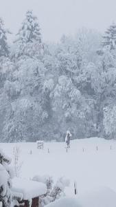 Ferienwohnung Moosegger