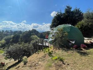 Vitta Glamping