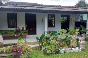 Homestay Wijaya Mulya - Kembanglimus