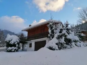 Chalet savoyard avec terrasse, proche des pistes et vue sur montagne - FR-1-459-129 - Manigod