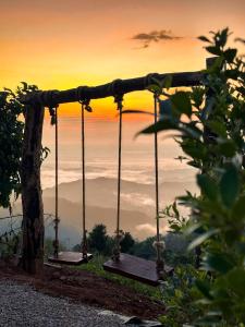 Above The Clouds - Chiang Rai