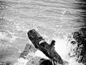 Appartement cosy avec terrasse et animaux admis à Balaruc-les-Bains - FR-1-503-38