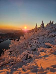 Appartements Vignes & Tropiques - Terrasse - Wifi - Clim - Parking : photos des chambres