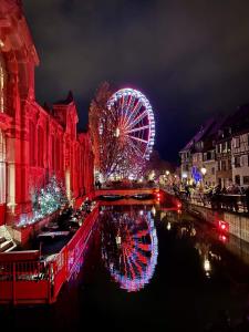 Appartements Vignes & Tropiques - Terrasse - Wifi - Clim - Parking : photos des chambres