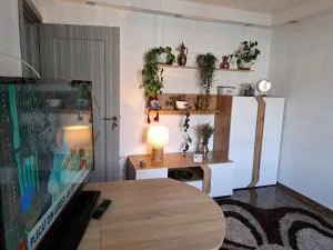 Apartament Medias Metanului - Moşna