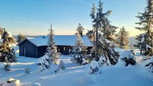 Unique new cabin by Hafjell & Skei with stunning view - Tretten