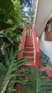 Delight Homestays Coorg