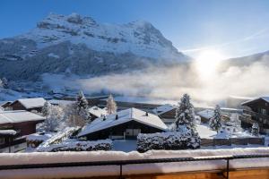 Chalet Alia and Apartments-Grindelwald by Swiss Hotel Apartments
