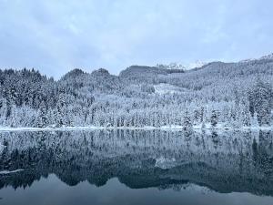 Ferienwohnung Gasser