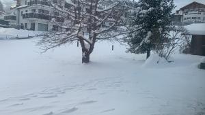 Frühstückspension Erika