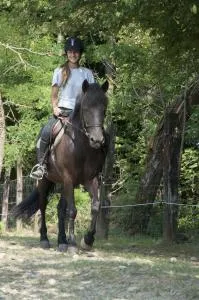 Agriturismo Jesson Rosamund - Vertemate