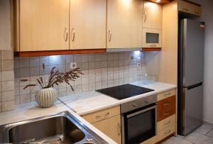 Central apartment near Hilton