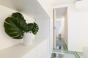 PrimoPiano - Argonne