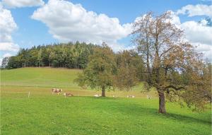 Ferienhaus In Wagrain