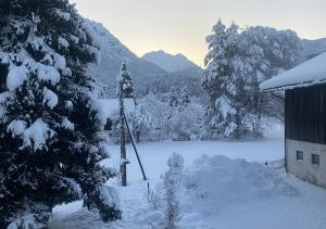 Jägers Wohnung zwischen Ehrenberg und Neuschwanstein