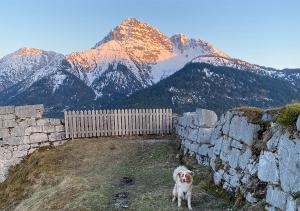 Jägers Wohnung zwischen Ehrenberg und Neuschwanstein