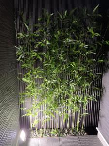 WestHouse A 岸里站2分钟 天下茶屋站 6分钟 新建宽敞独栋