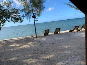 Bon Vivant Front de Mer - Ile Rodrigues