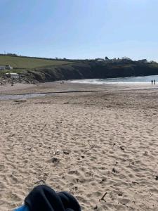 Ocean Pearl , 20 Circular , Challaborough Bay