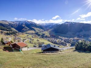 Chalet de standing avec jacuzzi et ski-room dans lEspace Diamant - FR-1-505-199