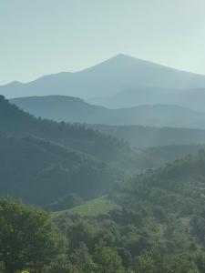 Villas Maisonnette provencale : photos des chambres