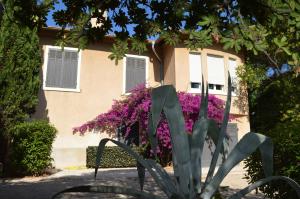Appart'hotels Villa Maredda : photos des chambres