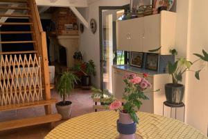 Maisons de vacances Maison Typique Landaise : photos des chambres
