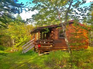 Vipilodge