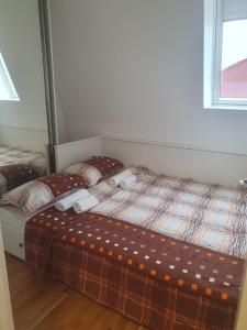 Apartman Darija