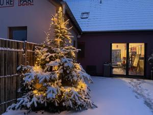 Maisons d'hotes Le Refuge du Rempart : photos des chambres