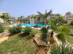 Lightoasis Oasis Mar 1