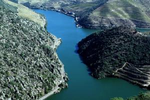 Douro Yacht Charter & Bungalows