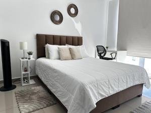 New Luxury Apartment Downtown San Jose
